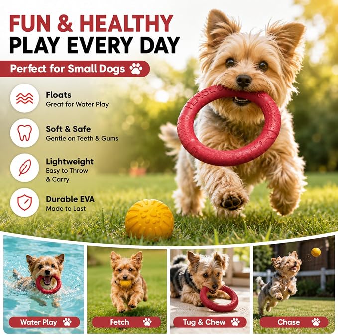 Floating Ring & Ball Combo Set, 2 Pack EVA Water Fetch Toys for Dogs, Durable Chew Tug Toy for Small Medium Large Dogs, Pool Beach Interactive Play (Red, Small)