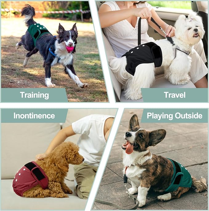 3 Pack Female Dog Diapers - Reusable Diapers for Doggie in Heat - Highly Absorbent Dog Diapers Female for Pet Incontinence with Adjustable Snaps (Red,Grreen,Black, XXL)