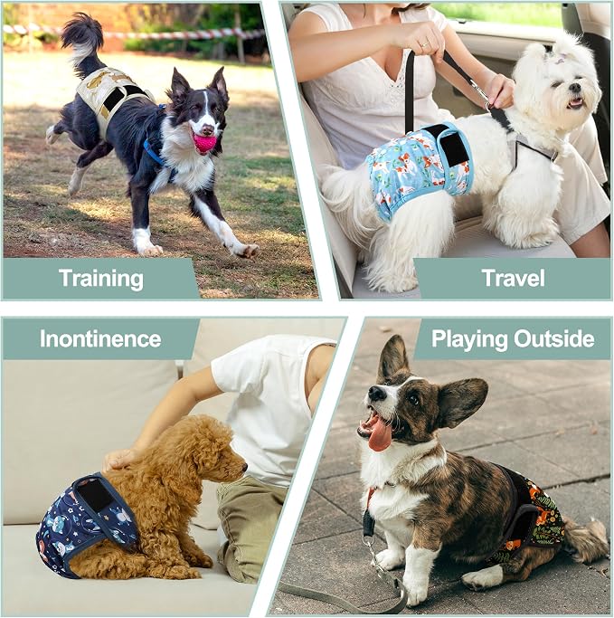 Female Dog Diapers 5Pcs - Premium Reusable Diapers for Doggie in Heat - Highly Absorbent Dog Diapers Female for Pet Incontinence with Adjustable Snaps, M