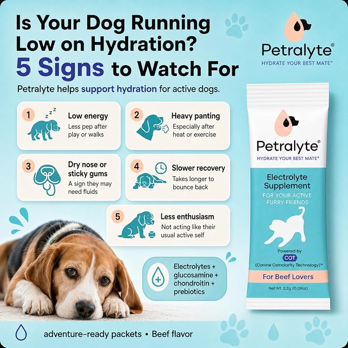 Petralyte Dog Electrolytes and Joint Supplement | Hydration Support for Dogs w/Glucosamine, Chondroitin & More | Electrolytes for Dogs with Prebiotics | for Beef Lovers | 16 Packets