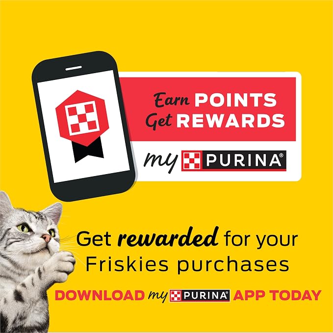 Purina Friskies Natural Cat Treats, Party Mix Natural Yums With Real Salmon and Vitamins, Minerals & Nutrients - (Pack of 6) 6 oz. Pouches