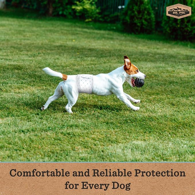 Dr Pol Dog Diapers for Male Dogs | Disposable Pet Diapers with Wetness Indicators | Adjustable Fit | Leak Protection & Super Absorbent | Perfect for Heat Cycles & Training Accidents | Pack of 50