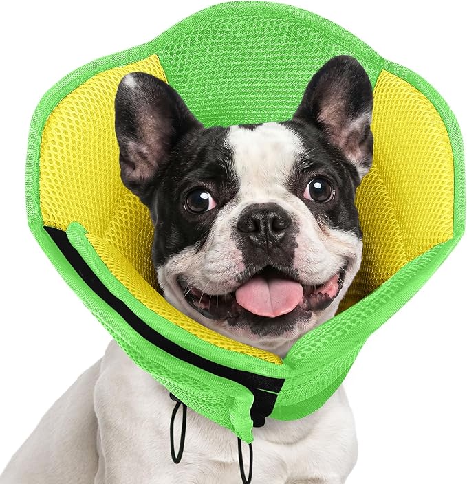 AOFITEE Dog Cone - Soft Cones Dog After Surgery, Comfy Cones for Dogs to Stop Licking, Adjustable Small Dogs Cone Collar for Wound Healing, Elizabethan Pet E-Collar, YellowGreen Small