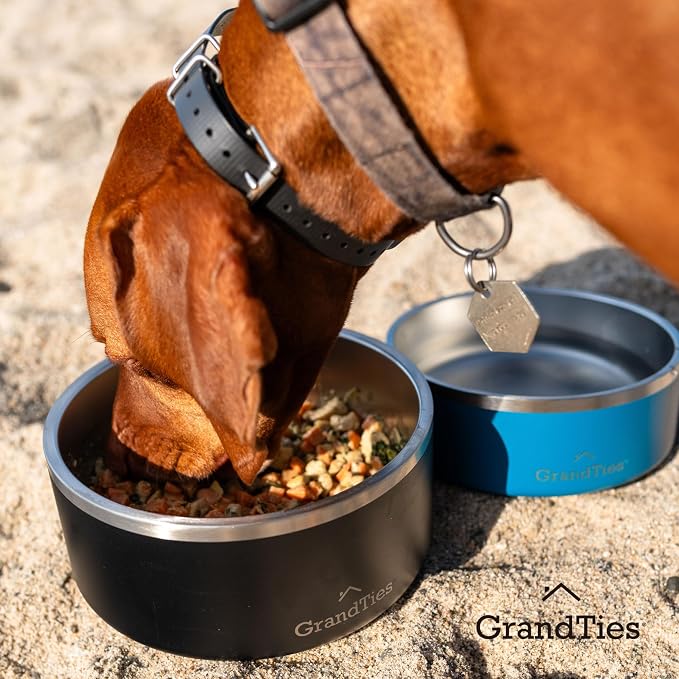 GrandTies Stainless Steel Dog Bowl | Engraved Reusable BPA-Free Insulated Cat & Dog Bowls | Large Heavy Duty Non Skid Spill Proof Bowl | Outdoor Dog Water Bowl (64oz, Midnight Black)