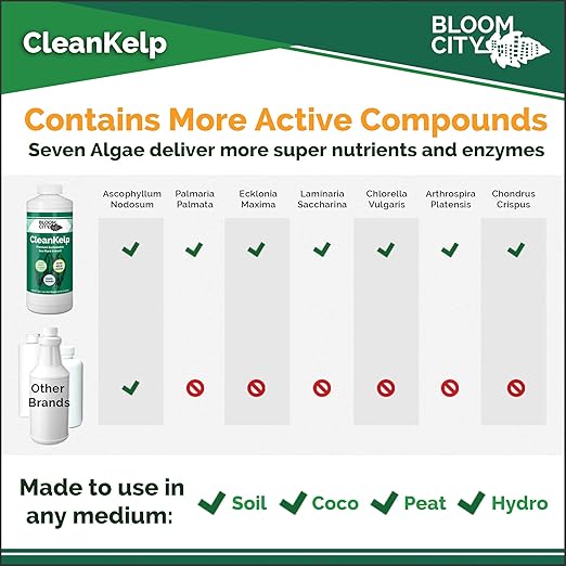 Bloom City Seaweed and Kelp Fertilizer – Liquid Seaweed Supplement for Stronger Roots, Faster Growth & Improved Stress Tolerance, 32 oz