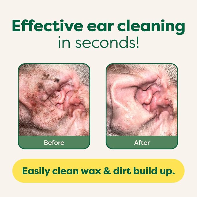 Earth Rated Ultimate Dog Grooming Bundle - Includes Unscented Grooming Wipes, Hypoallergenic Ear and Eye Wipes