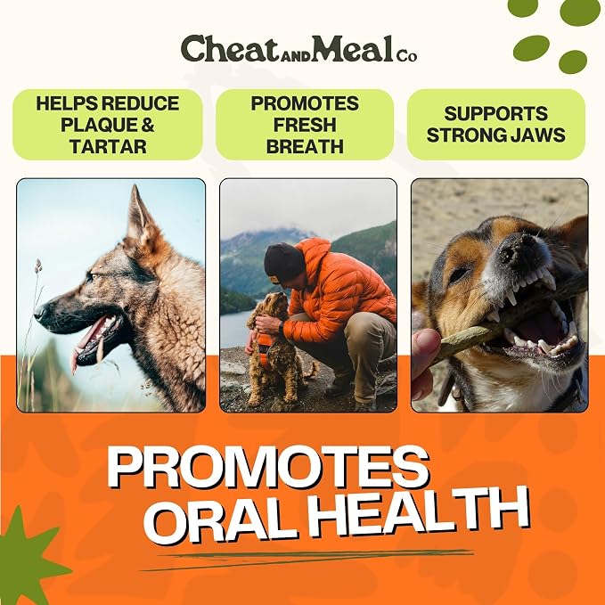 Bully Sticks for Medium & Large Dogs - Chew Toys for Aggressive Chewers, Standard 6 Inch (5 Count), Long Lasting, 100% Grass-Fed, Single Ingredient, Rawhide-Free, Free Range