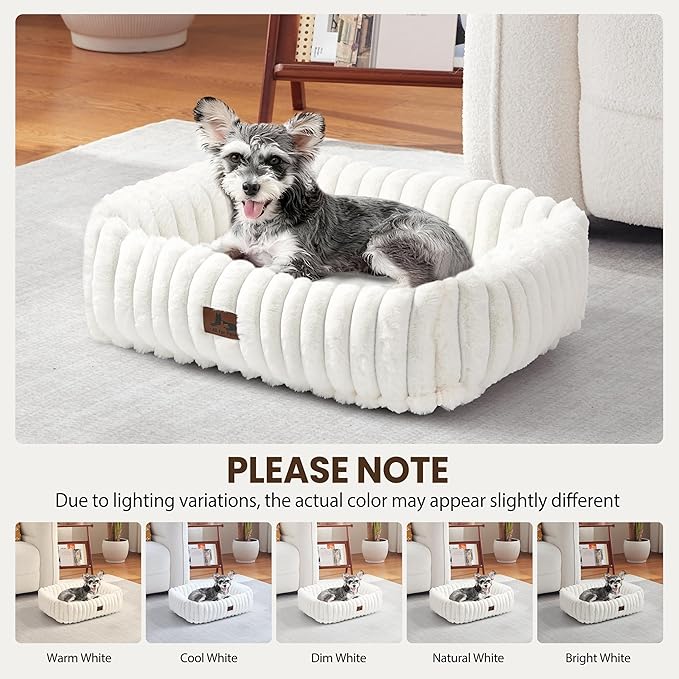 Cute Dog Bed for Small Dogs & Cats,Washable Fluffy Cat Beds for Indoor Cats, Rectangle Orthopedic Memory Foam Puppy Beds with Anti-Slip Bottom, 20 x19 x 7 Inches, Cream(20x19x6inchs)