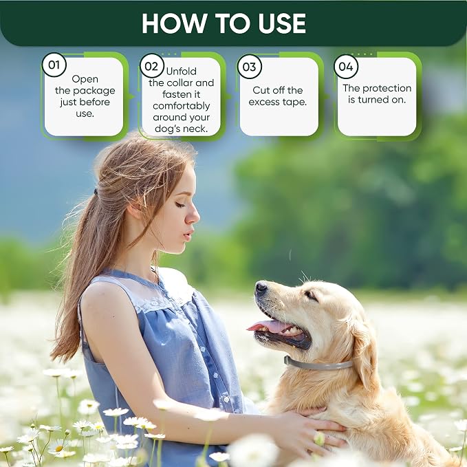 Flea and Tick Prevention Collar for Dogs, Adjustable Dog Flea and Tick Treatment for Puppy, Small, Medium, Large, and Extra Large Dogs, Best Natural Flea and Tick Collars (Gray Collar)