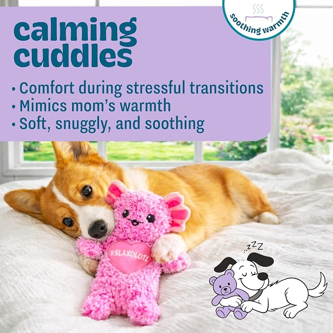 Comfort Plush Dog Toy with Microwavable Buckwheat Heat Pouch, Ultra-Soft Calming Cuddle Companion for Puppies & Dogs, Axolotl, 11”