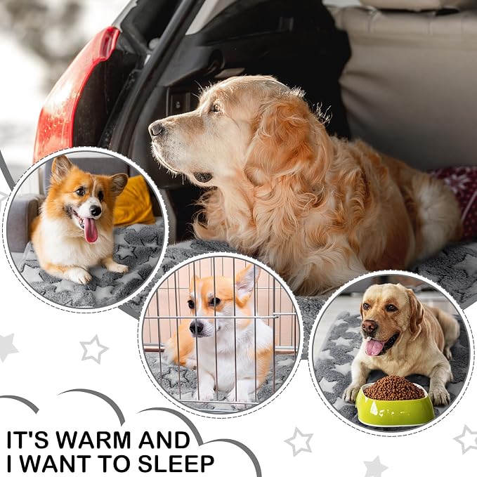 Tranqun 4 Pcs Waterproof Dog Puppies Cat Blankets Bed Mat Washable Crate Kennel Whelping Pads Reusable Pet Pee Pad Soft Reversible Pet Training Pads Sleep Floor Mat Guinea Pig Liner