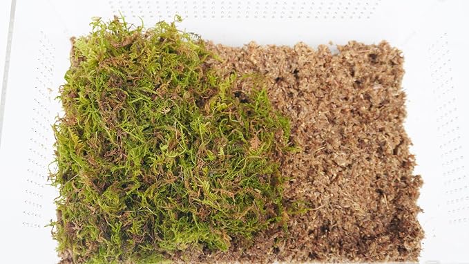 Hermit Crab Cage, Hermit Crab Starter Kit with Tank and 2QT Substrate and a 8 Inch Hideout