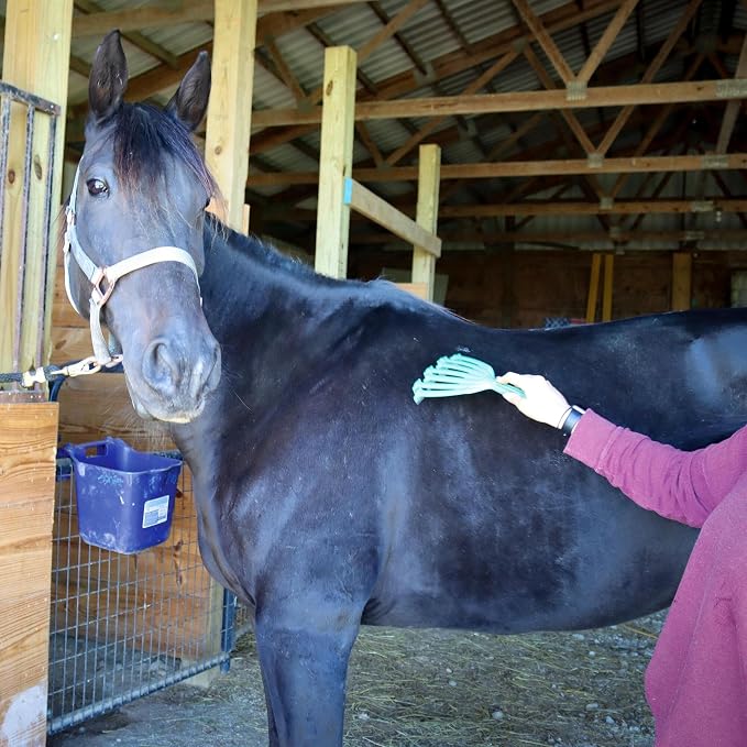 Equine GroomRaker by PETKORE