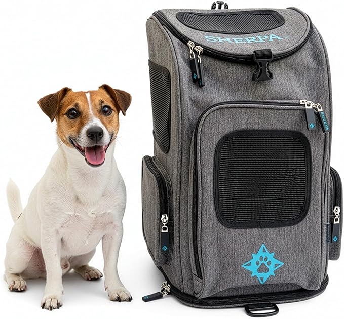 Sherpa 2-in-1 Backpack Travel Pet Carrier, Airline Approved & Guaranteed On Board - Gray, Medium
