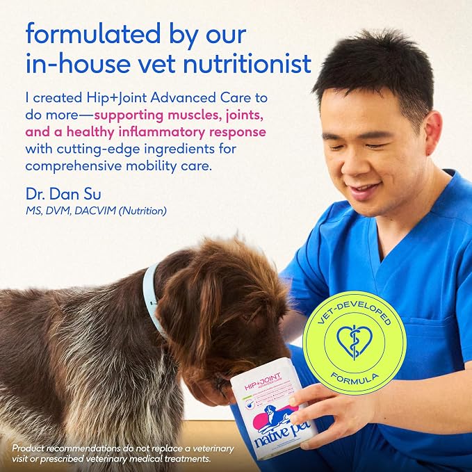 Native Pet Hip and Joint Supplement Dogs - Powder with UC-II Collagen and HMB - Senior and Large Breed Dog Joint Support - Made in USA - 120 Scoops
