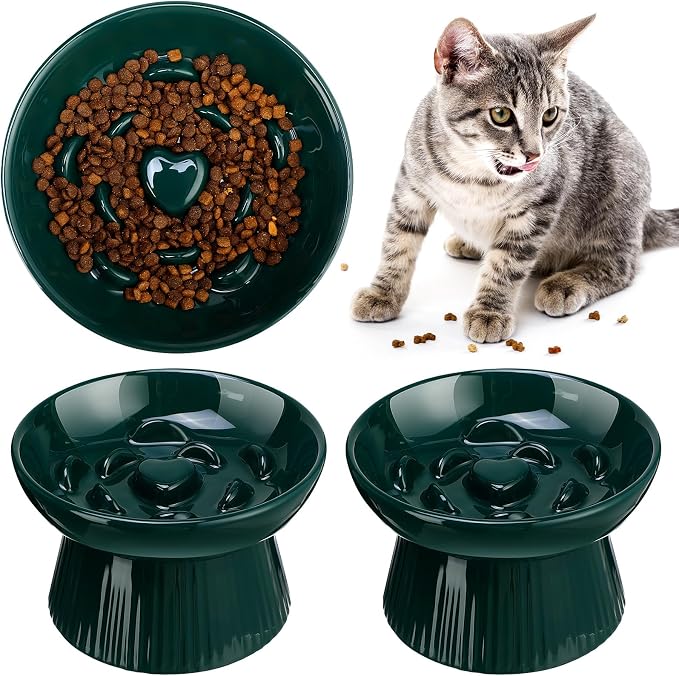 Tioncy 1 Pcs Raised Cat Slow Feeder Bowl Ceramic Elevated Cat Dog Food Bowl No Spill High Edge for Dry Wet Food and Water Easy to Clean, Dishwasher Safe (Dark Green)