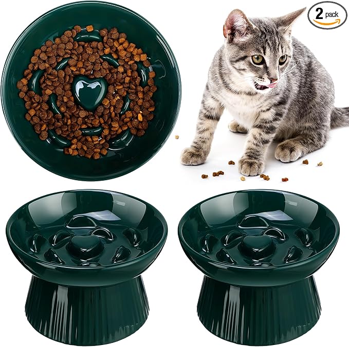 Tioncy 2 Pcs Raised Cat Slow Feeder Bowl Ceramic Elevated Cat Dog Food Bowl No Spill High Edge for Dry Wet Food and Water Easy to Clean, Dishwasher Safe (Dark Green)