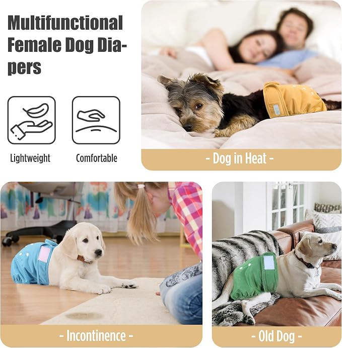 wegreeco Washable Dog Diapers (3 Pack), Highly Absorbent Dog Diapers Female for Doggie Puppy in Heat, Period, Incontinence, or Excitable (Blue Green Yellow, Large)