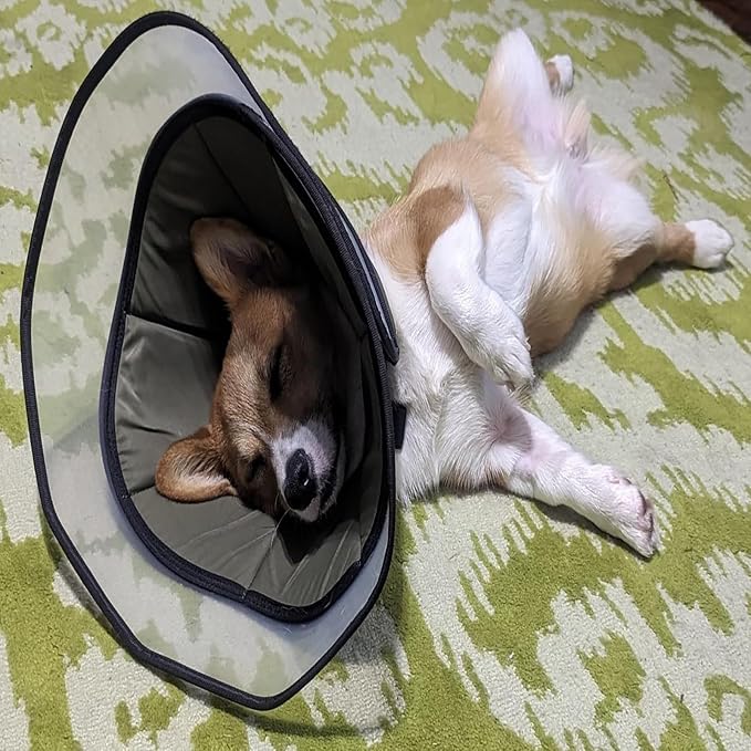 Stop Licking Protective Collar Wounds Dog Collar Health Medicals for Large Media Canines Post Surgeries Dog