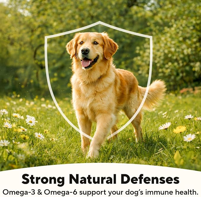 Dave's Pet Food Glucosamine Chondroitin for Dogs, Hip and Joint Support, Gluten-Free, Wet Senior Dog Food, 13.2 oz (Case of 12)