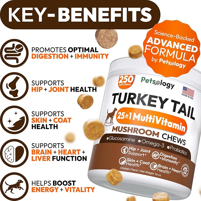 Turkey Tail Mushroom for Dogs - 250 Chews - Lion’s Mane - Shiitake - Reishi - Buddy Immune Support Guard - Lipoma Mushroom Supplement for Dogs Lumps and Bumps Glucosamine, Health Vitamins Multivitamin