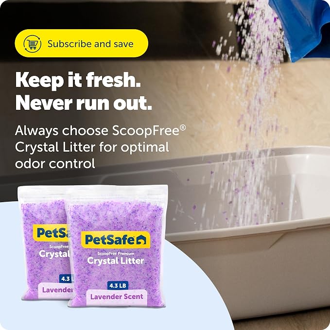 PetSafe ScoopFree Premium Crystal Cat Litter - Outperforms Clay Litter - Refill Packs - Reusable Tray Compatible - Lavender Scent - 4.3 lb Bags - 2 Pack