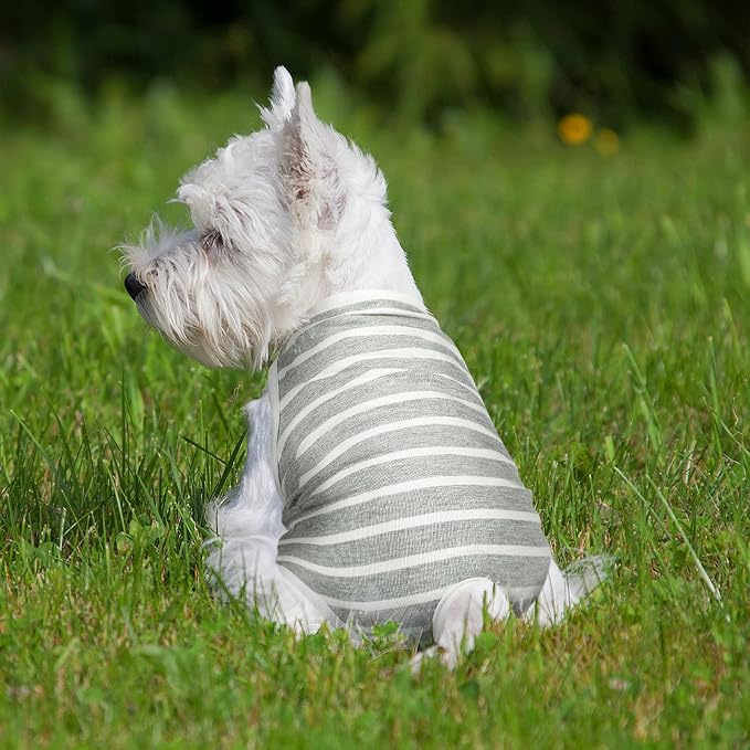 3 Pieces Reusable Female Dog Diapers with Adjustable Suspender Washable Doggy Sanitary Panties Dog Period Diapers Puppy Underwear Jumpsuits for Heat Cycle Female Doggie Pet(XL)