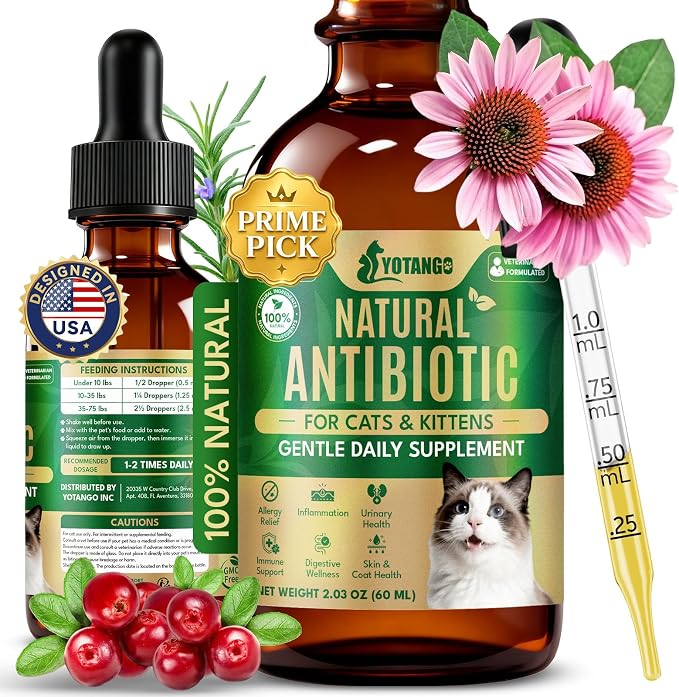 YOTANGO Natural Antibiotics for Cats, Cat Antibiotics for UTI & Itch Support, Immune, Digestive, Allergy, Skin & Coat Support for Cats and Kittens, for All Ages & Breeds (Chicken Flavor-60ml)