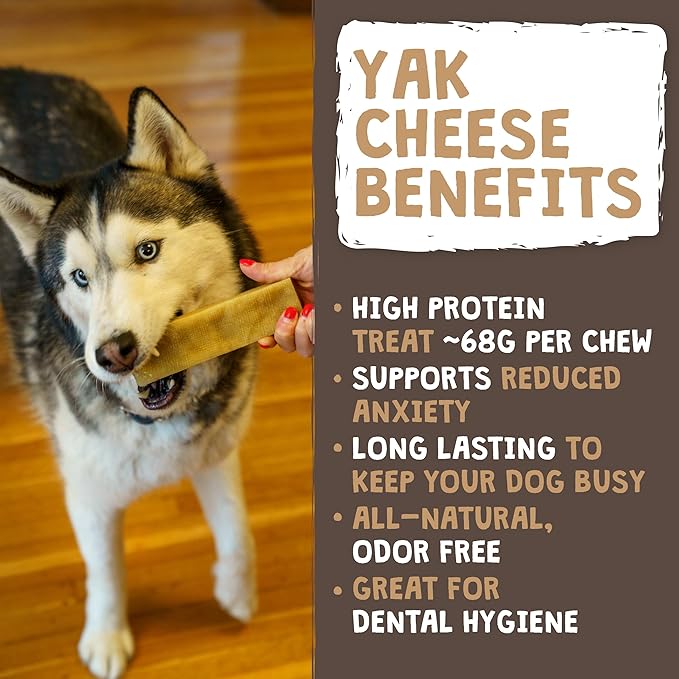 Mighty Paw Yak Cheese Chews for Dogs | All-Natural Long Lasting Pet Treats. Odorless and Great for Oral Health. Limited-Ingredient Chews for Puppies & Power-Chewers (Small, 24 Pack)