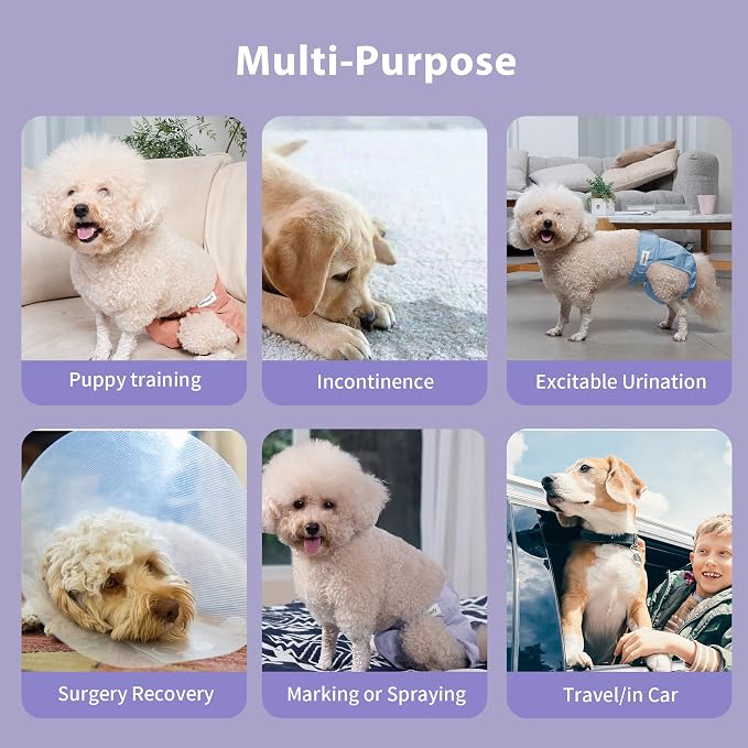 Vecomfy Reusable Female Dog Diapers for Small Dogs,(4 Pack) Easy Absorbent Puppy Diapers for Peeing,in Heat,Dog Period Panties,S