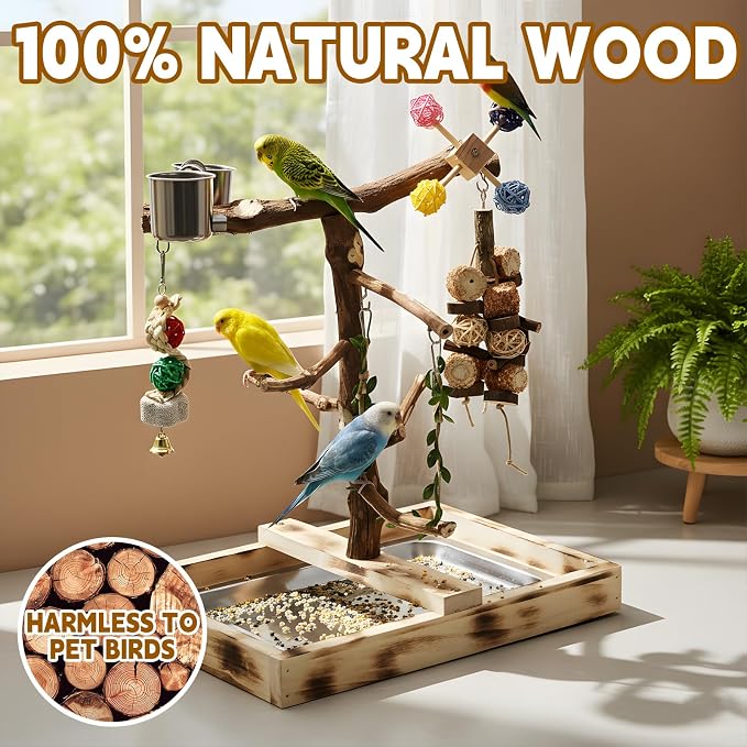 Large Bird Playground with Natural Wood perches, Suitable for Small Birds Such as Budgies, Conures, and Lovebirds. Includes Feeding Cups, a Swing, and Bird Chewing Toys.