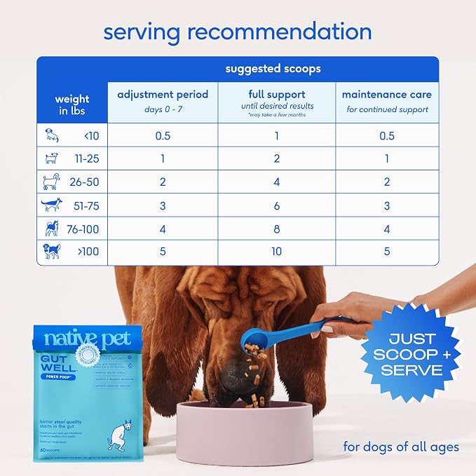 Native Pet GutWell Power Poop - Digestive Support & Fiber for Dogs - Promotes Healthy Stools, Supports Balanced Microbiome & Digestive Function - Triple-Biotic Blend & M-Fiber - 120 Scoops