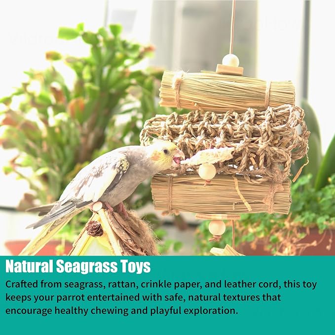 6 Pcs Natural Bird Toys for Parrots - Seagrass Swing, Loofah, Wood & Corn Husk Chew Toy Set - Shredding Enrichment Kit for Small to Medium Cockatiels, Parakeets, Conures, Budgies
