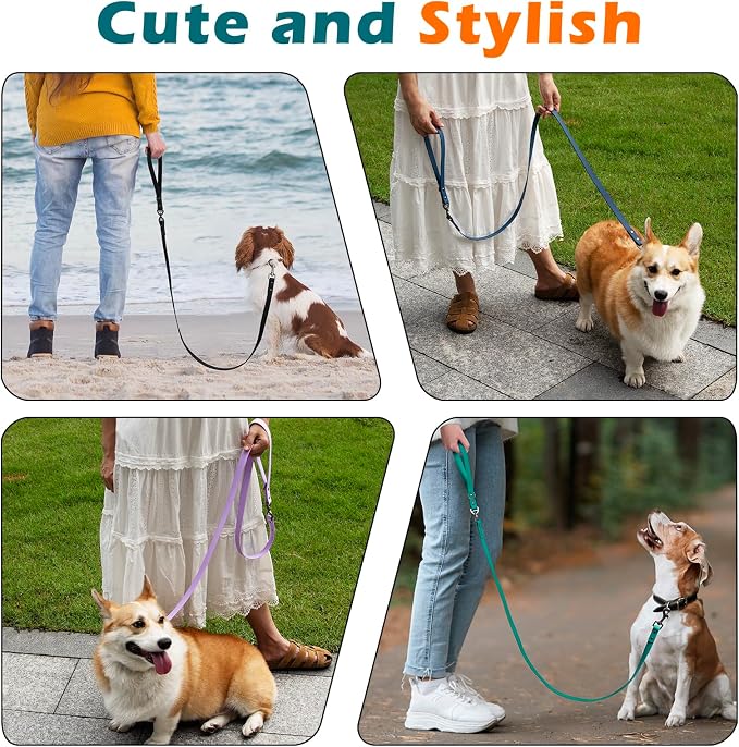 PetBonus 5 FT Waterproof Dog Leash and 2-Pack Silicone Collapsible Dog Bowls