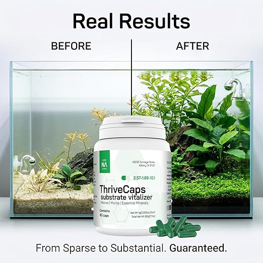ThriveCaps Aquarium Root Caps – Premium Root Fertilizer for Live Plants – Slow Release – Strong NPK + Micros – Safe for Shrimp & Snails – 60 Count