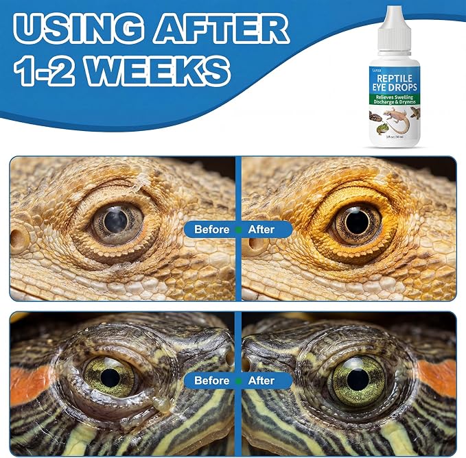 Lunza Reptile Eye Drops 30ml, Cleanses & Moisturizes, for Bearded Dragons, Turtles, Snakes, Lizards & Amphibians, with Manuka Honey & Hyaluronic Acid