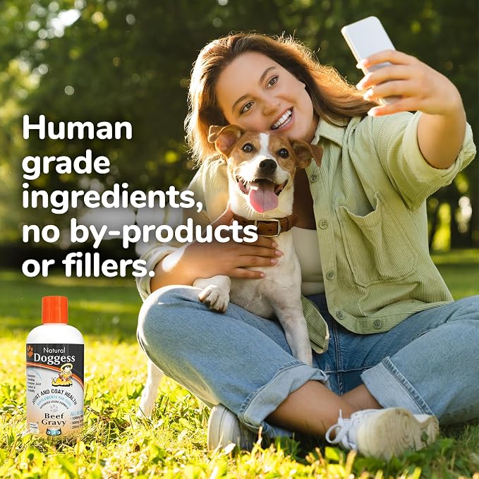 Dressing Best Hip and Joint Supplement for Dogs, Glucosamine & Chondroitin/Joint Health/Salmon Oil for Dogs Skin and Coat Health, Delicious Beef Gravy Flavor - 16 Oz Pack of 1