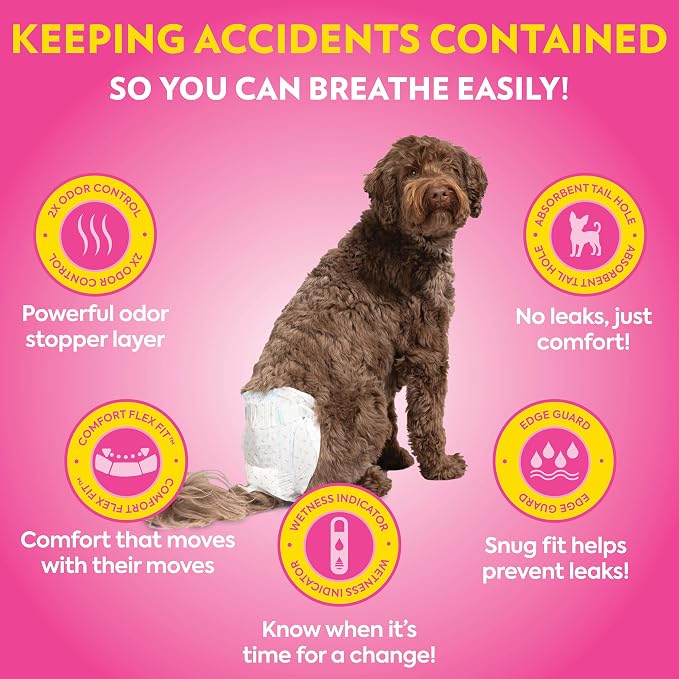 Out! PetCare Disposable Dog Diapers Female, Potty Training, Dog Diapers, Female Doggie in Heat, Puppy Training, Incontinence, Puppy Essentials, Adjustable Fasteners, 13”-18” Waist (XS/S, 96ct)