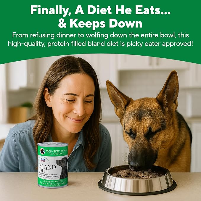 Dave's Pet Food Bland Dog Food for Sensitive Stomachs (Lamb & Rice), Limited Ingredient, Gluten & Wheat Free, Easy to Digest, Canned Wet Meal or Topper, 13.2 oz (12 Pack)