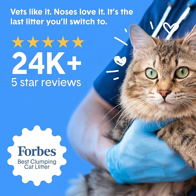 Boxie Probiotic Lightweight Cat Litter 40 Day Odor Control, Odor Eliminating Probiotics, 99.9% Dust Free, Multi-Cat, 11.5 lb