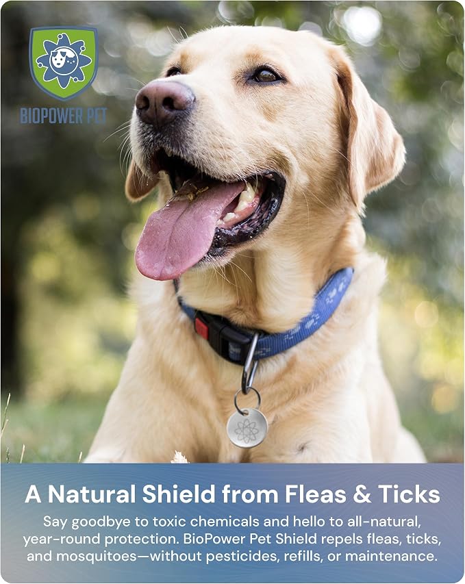 Shield Tag - Natural Flea & Tick Repellent Collar Tag for Dogs & Cats - Waterproof, Lasts 12 Months - Stainless Steel Pendant - Small Tag (<10 Lbs)