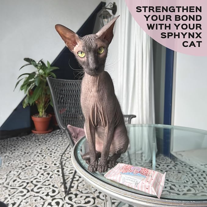 Wet Wipes with Panthenol for Sphynx & Shorthair Cats — 16Pack/240Count Pack, Hypoallergenic Dander & Odor Grooming Wipes