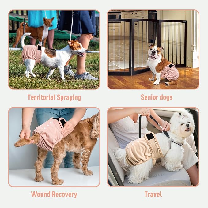 Washable Reusable Female Dog Diapers(5 Pack) Small Medium Large Doggie Puppy & Doggy Dog Diaper, Period Panties in Heat XX-Large Pink Purple Brown Green Blue