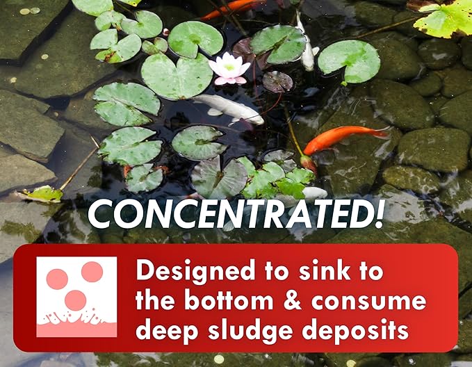 KoiWorx Muck Reducer, 145 Tablets Treats up to 6,000 Gallons of Water, Beneficial Bacteria Reduces Muck, Sludge and Organic Build up, Formulated for Ponds, Water Features and Safe for Koi