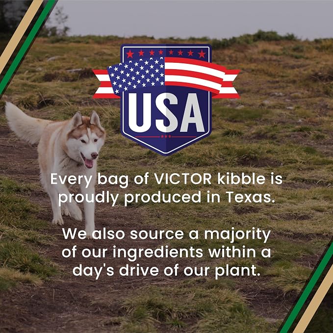 VICTOR Super Premium Dog Food – Performance Dry Dog Food from Beef, Chicken and Pork Meal – 26% Protein for Active Adult Dogs – Includes Glucosamine and Chondroitin for Hip and Joint Health, 5lbs