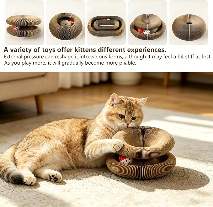 2PCS Magic Organ Cat Scratcher, Foldable Reversible Accordion Cat Toy with Bell Balls, Interactive Scratch Pad Board for Indoor Cats Playing, Cardboard Recyclable Kitty Toy