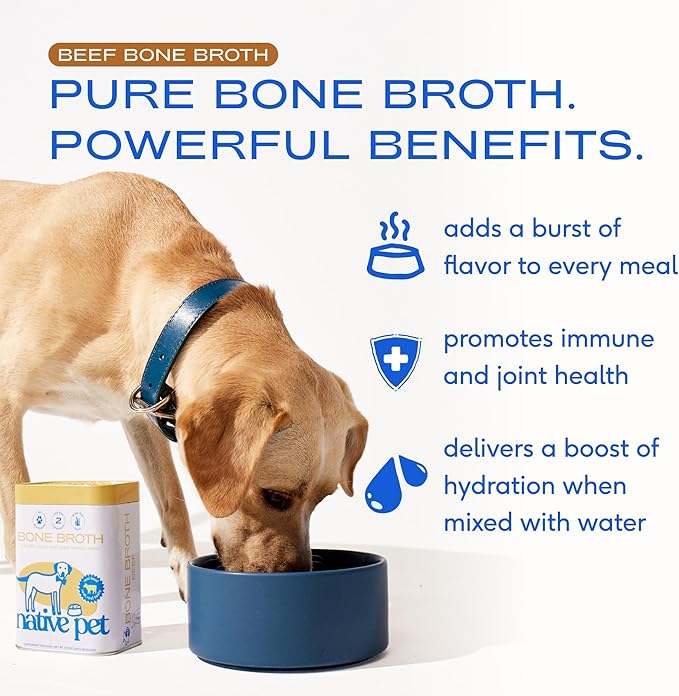 Native Pet Beef Bone Broth for Dogs (9.5 oz) & Yak Chews for Dogs (3 Medium Chews) - Food Topper for Picky Eaters and All Natural Dental Sticks Made with Yak Cheese for Aggressive Chewers