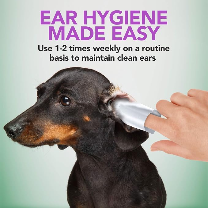 Vet's Best Ear Relief Finger Wipes | Ear Cleansing Finger Wipes for Dogs | Sooths & Deodorizes & Dog Toothbrush & Toothpaste Kit - Natural Ingredients Reduce Plaque, Whiten Teeth, Freshe