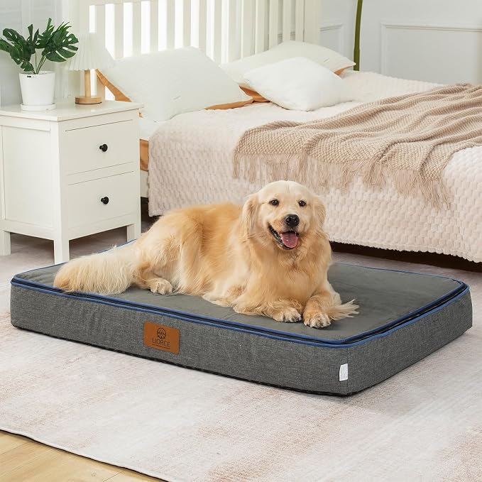 LIORCE Orthopedic Memory Foam XXL Dog Bed - 6" Thick Beds for Extra Large Sized Dog - Waterproof Removable Washable Cover & Wrap-Around Zipper - Ultimate Comfort & Easy Maintenance, Dary Grey