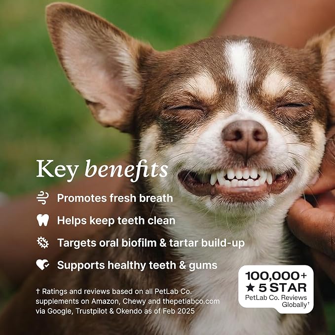 PetLab Co. ProBright Dental Powder - Dog Breath Freshener - Teeth Cleaning Made Easy – Targets Tartar & Bad Breath - Formulated for Large Dogs - Packaging May Vary